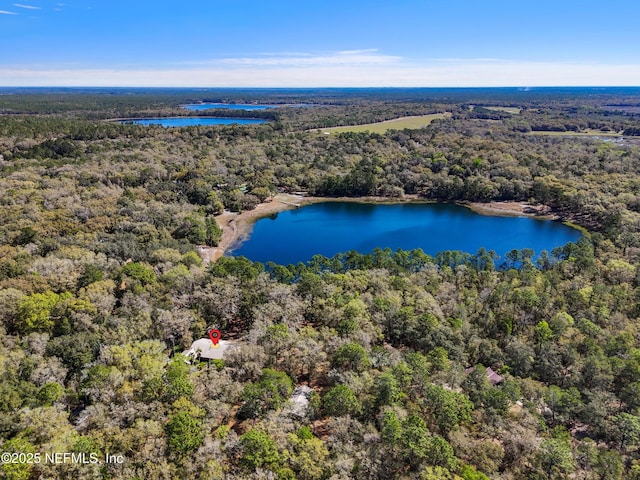 bird's eye view with a forest view and a water view