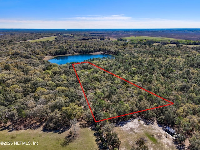 drone / aerial view featuring a water view and a wooded view