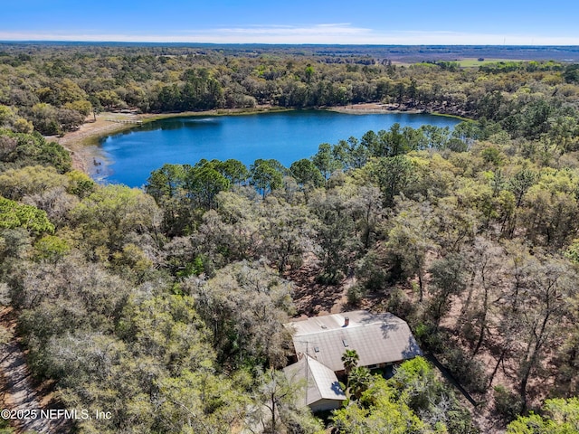 drone / aerial view featuring a forest view and a water view