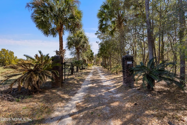 view of road with a gated entry, driveway, and a gate