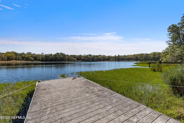 view of dock featuring a water view