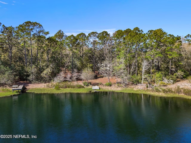 property view of water with a forest view