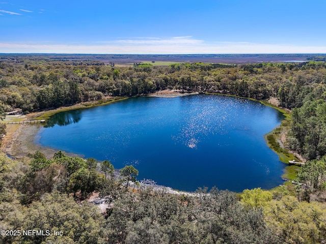 aerial view featuring a forest view and a water view