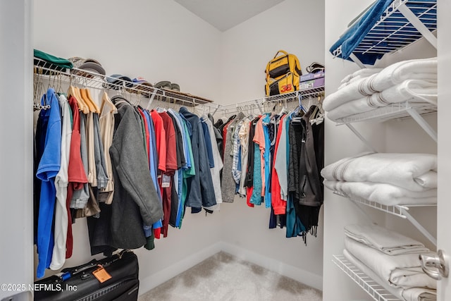 spacious closet featuring carpet flooring