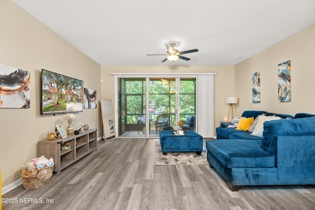 7540 Scarlet Ibis Ln, Jacksonville, FL 32256 - living area featuring ceiling fan, baseboards, and wood finished floors