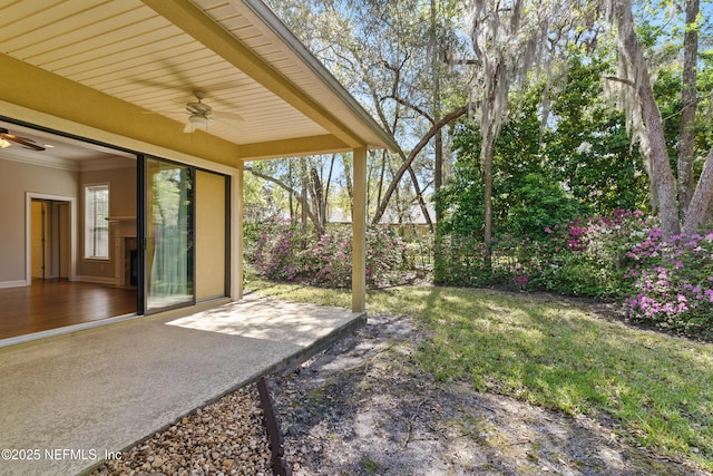 view of yard featuring a patio and a ceiling fan