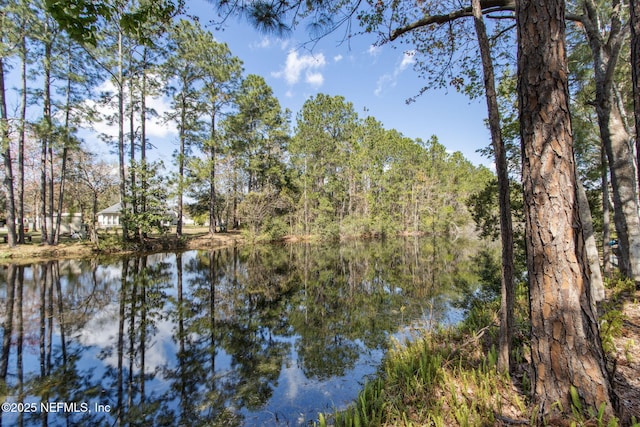 96231 Abaco Island Dr, Fernandina Beach, FL 32034 - water view