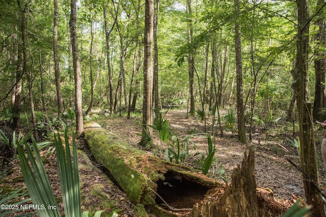 view of local wilderness with a wooded view