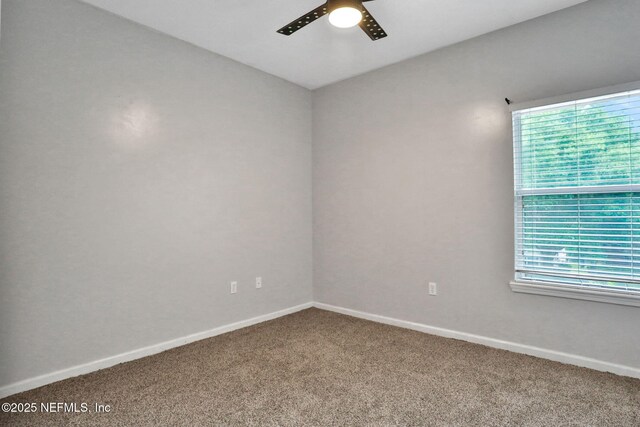 1601 Majestic View Ln, Fleming Island, FL 32003 - unfurnished room with carpet, a ceiling fan, and plenty of natural light