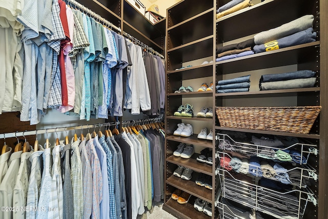 view of spacious closet