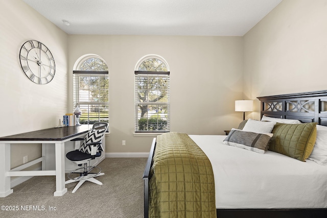 bedroom with baseboards and carpet floors