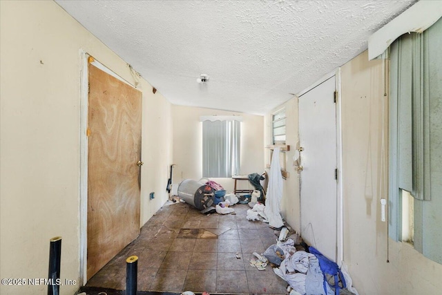 interior space featuring stone finish flooring and a textured ceiling