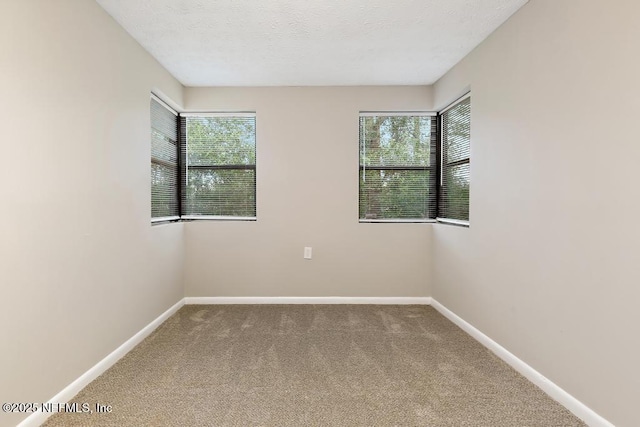 spare room featuring baseboards, carpet floors, and a textured ceiling