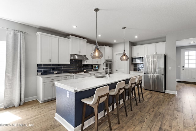 kitchen featuring under cabinet range hood, decorative backsplash, light wood-style flooring, and stainless steel appliances