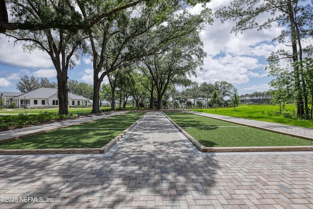 surrounding community featuring a yard