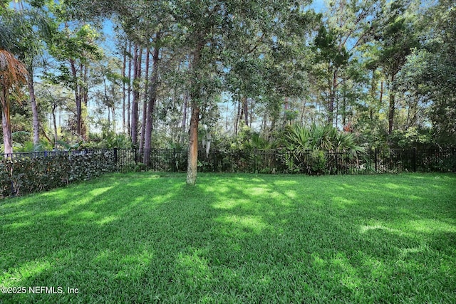 163 Medio Dr, Saint Augustine, FL 32095 - view of yard with a fenced backyard