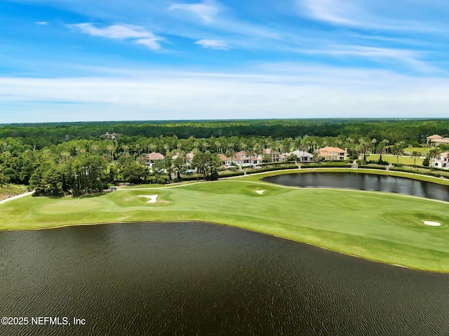 163 Medio Dr, Saint Augustine, FL 32095 - surrounding community featuring golf course view and a water view