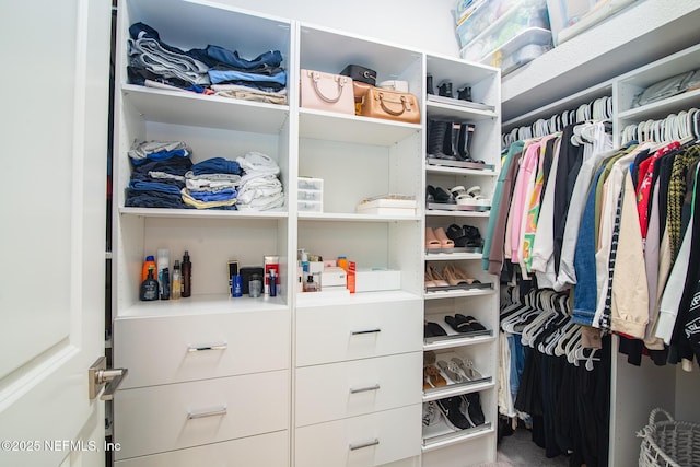 view of spacious closet