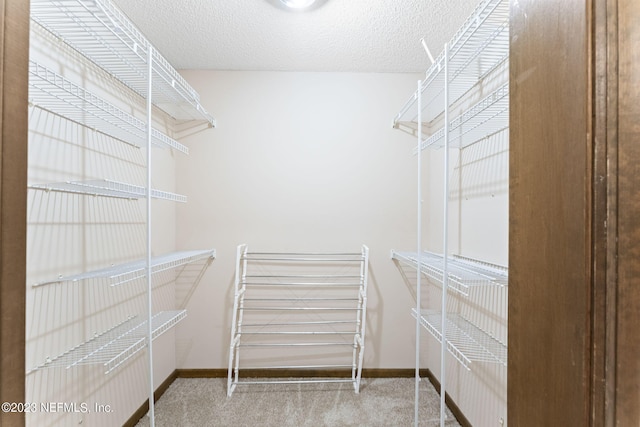 walk in closet with carpet