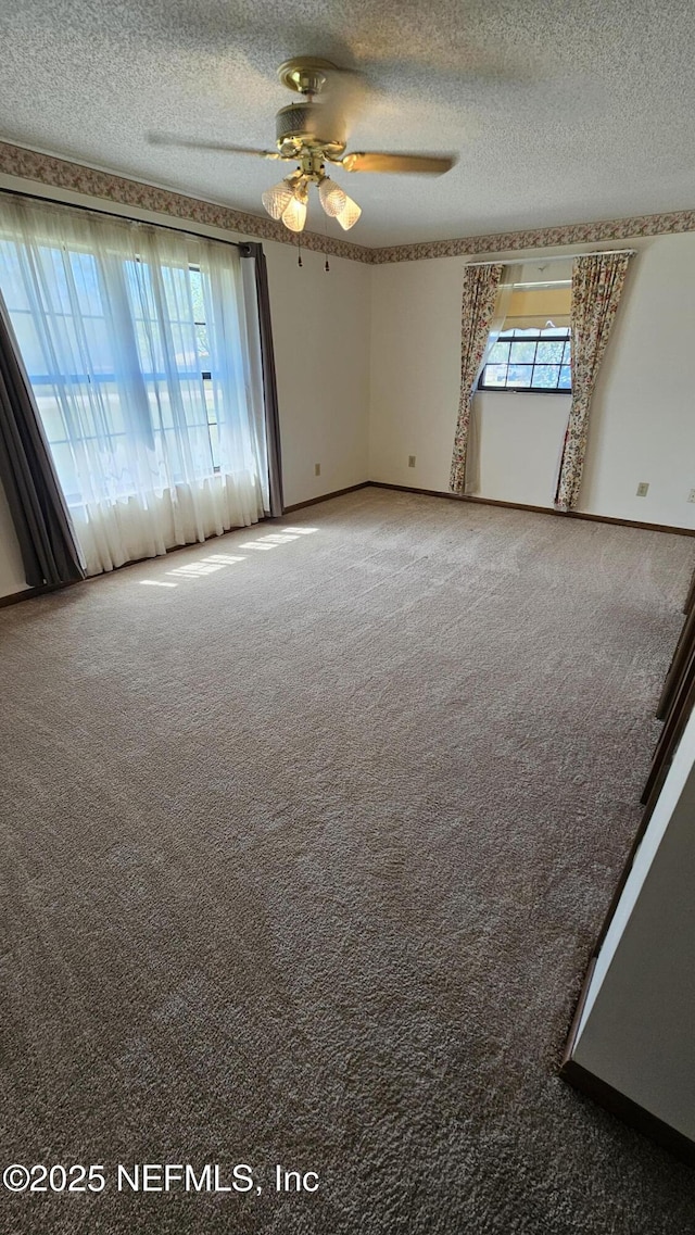 unfurnished room with a wealth of natural light, a textured ceiling, and carpet