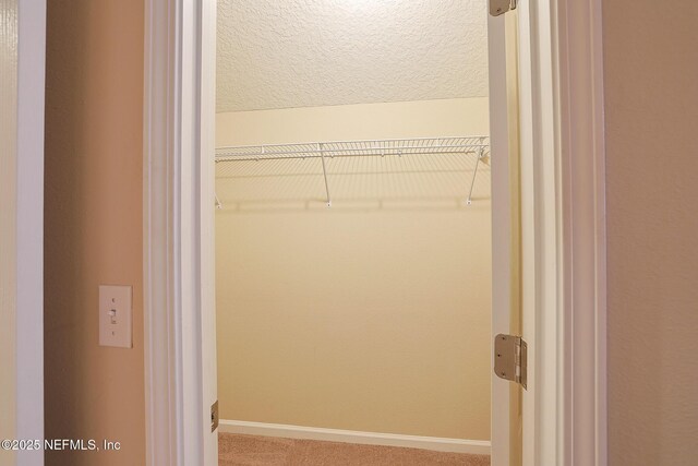 3542 Oglebay Dr, Green Cove Springs, FL 32043 - photo 39