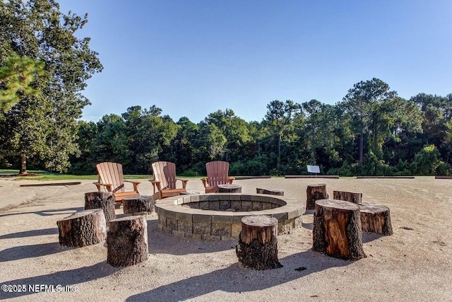 3542 Oglebay Dr, Green Cove Springs, FL 32043 - photo 53