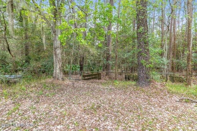 view of local wilderness with a wooded view