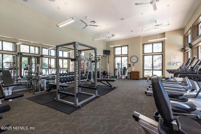 exercise room with carpet flooring, a high ceiling, and a ceiling fan