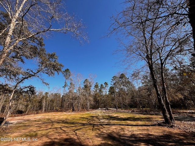 13589 Settindown Dr, Bryceville FL, 32009 land for sale