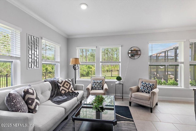 116 Clarendon Rd, Saint Johns, FL 32259 - tiled living room with baseboards and crown molding