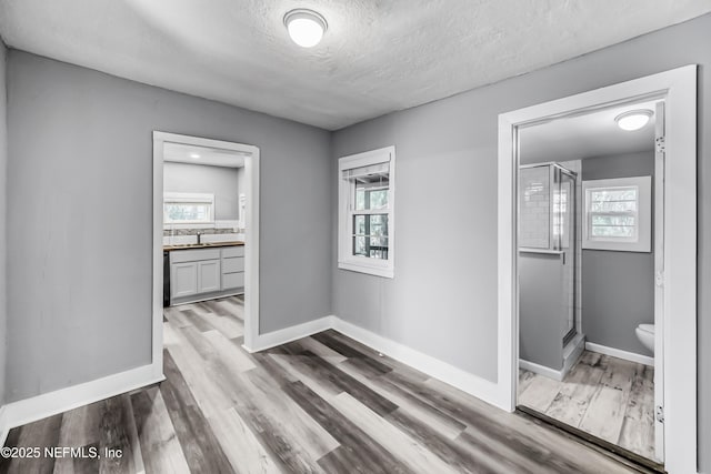 interior space featuring wood finished floors, a stall shower, and vanity