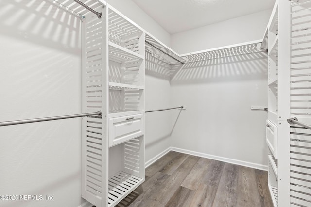 walk in closet with wood finished floors