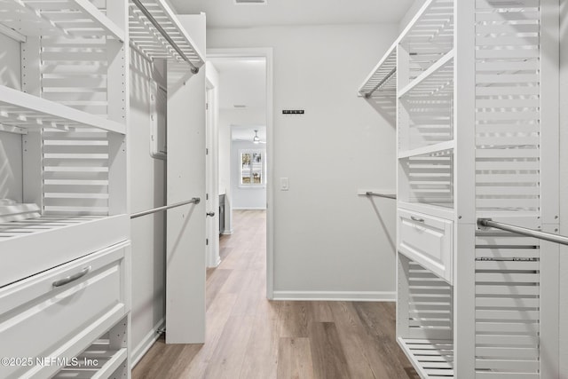 spacious closet featuring wood finished floors