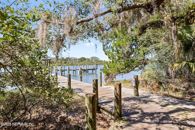 dock area with a water view