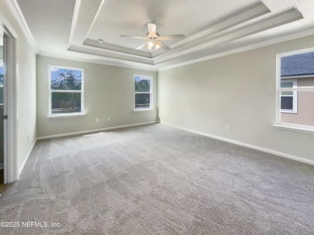 empty room featuring a raised ceiling, a wealth of natural light, and carpet floors