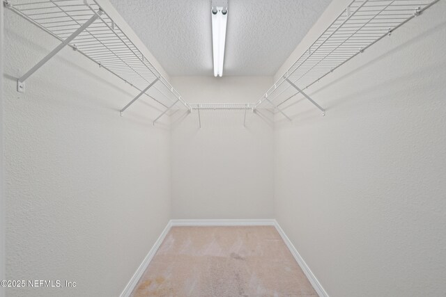 159 Marine St Unit 205, Saint Augustine, FL 32084 - photo 23