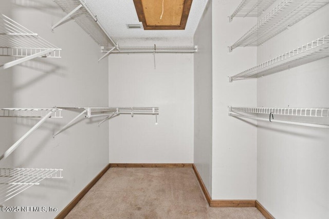 walk in closet featuring visible vents and carpet