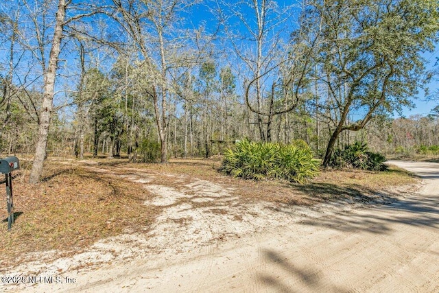 view of street with a forest view