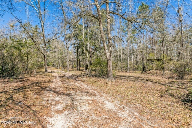 view of local wilderness with a forest view