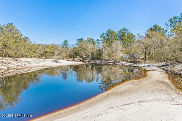 property view of water with a view of trees