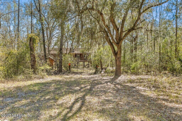 view of yard with a forest view