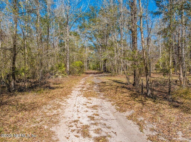 view of street with a forest view