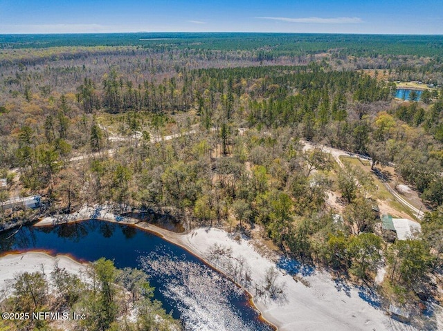 bird's eye view featuring a forest view and a water view