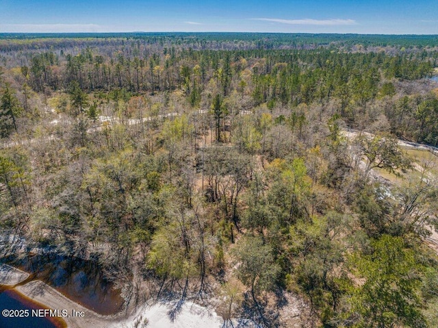 drone / aerial view with a wooded view