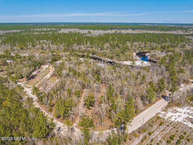 birds eye view of property with a forest view