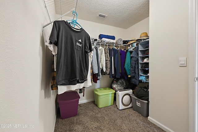192 Logrono Ct, Saint Augustine, FL 32084 - spacious closet with visible vents and carpet floors