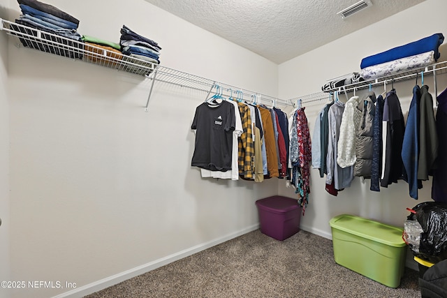 192 Logrono Ct, Saint Augustine, FL 32084 - spacious closet with visible vents and carpet flooring