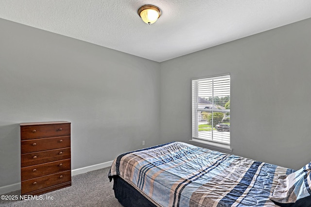 168 Winston Ct, Saint Johns, FL 32259 - photo 40