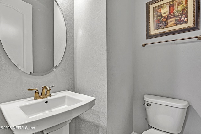 168 Winston Ct, Saint Johns, FL 32259 - photo 31