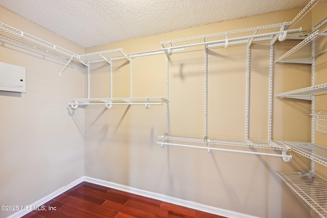 spacious closet featuring dark wood finished floors and a wall mounted air conditioner